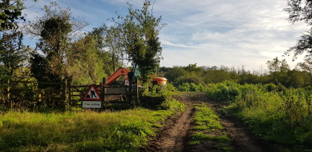 Volunteers clearing encroaching scrub on the fen at Greywell