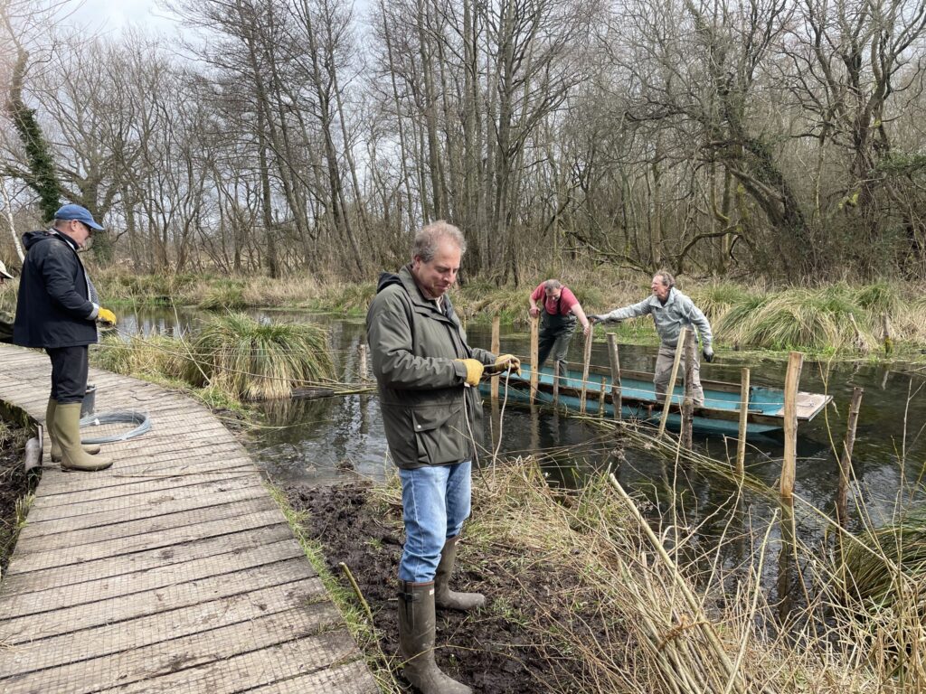 Volunteers working from a boardwalk on the bank of the River Whitewater