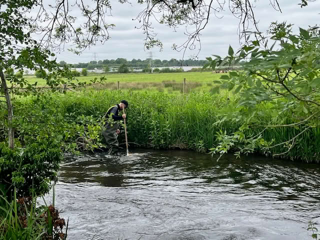 Riverfly surveys review