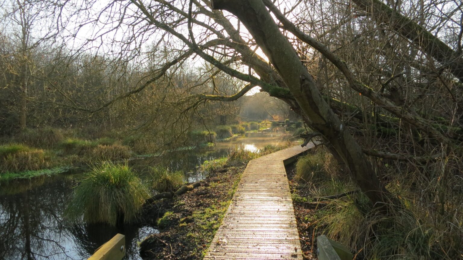 footpath by the whitewater river (2500x1406)