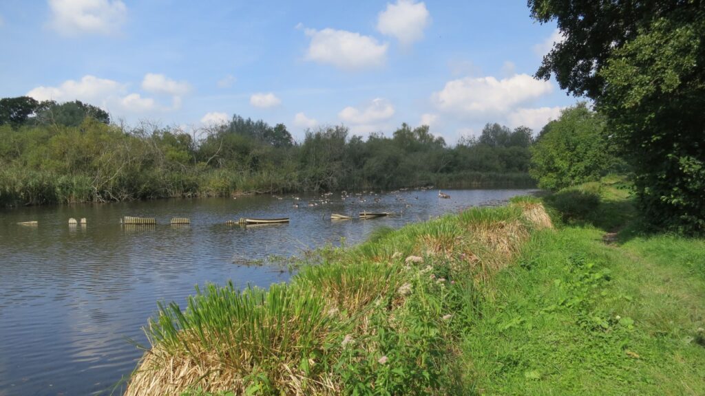Clear water running over gravel on the River Whitewater
