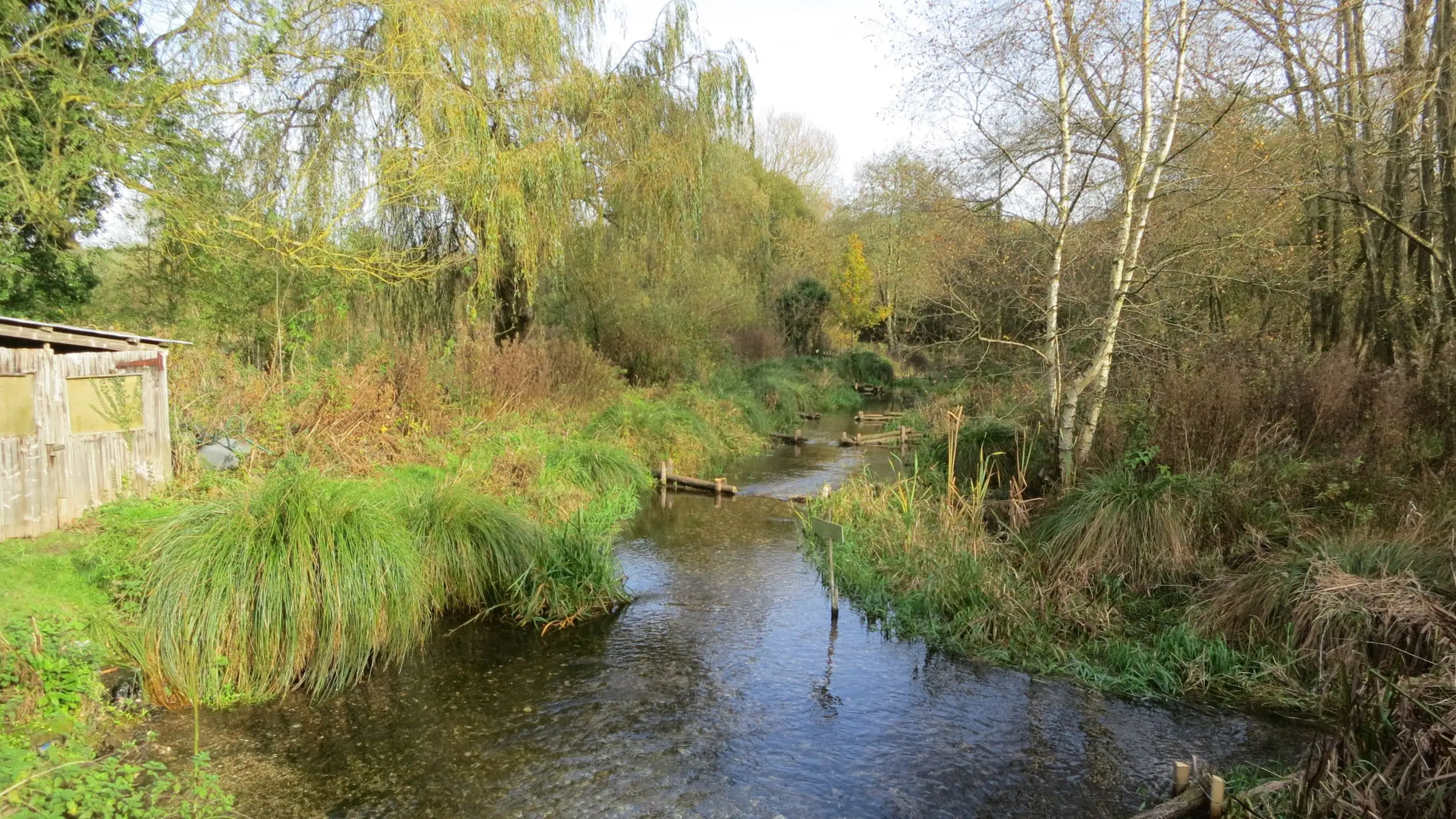 The River Whitewater flowing clear over gravel between green banks