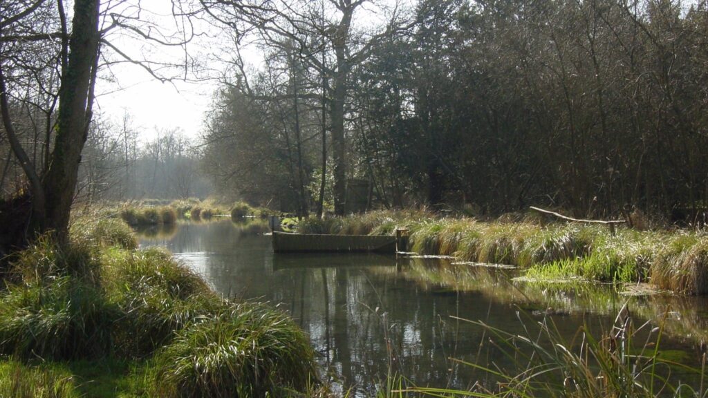 The River Whitewater running still and clear between sedge-lined banks